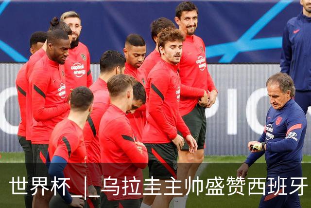 世界杯 | 乌拉圭主帅盛赞西班牙“精致足球”