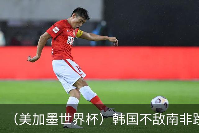（美加墨世界杯）韩国不敌南非跌至小组第三 出线前景待定